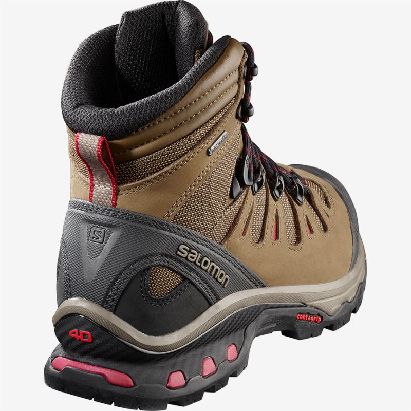 Chaussure de Randonnée Salomon QUEST 4D 3 GTX W Marron Femme | MAC-2797470