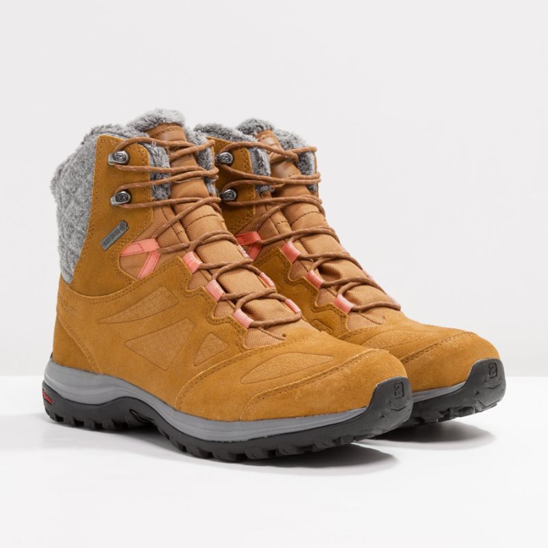 Chaussure de Randonnée Salomon ELLIPSE WINTER GTX Jaune Femme | NEY-7773177