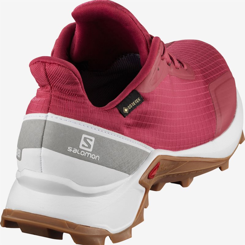 Chaussure de Randonnée Salomon ALPHACROSS GTX W Rose Femme | CWS-3912828