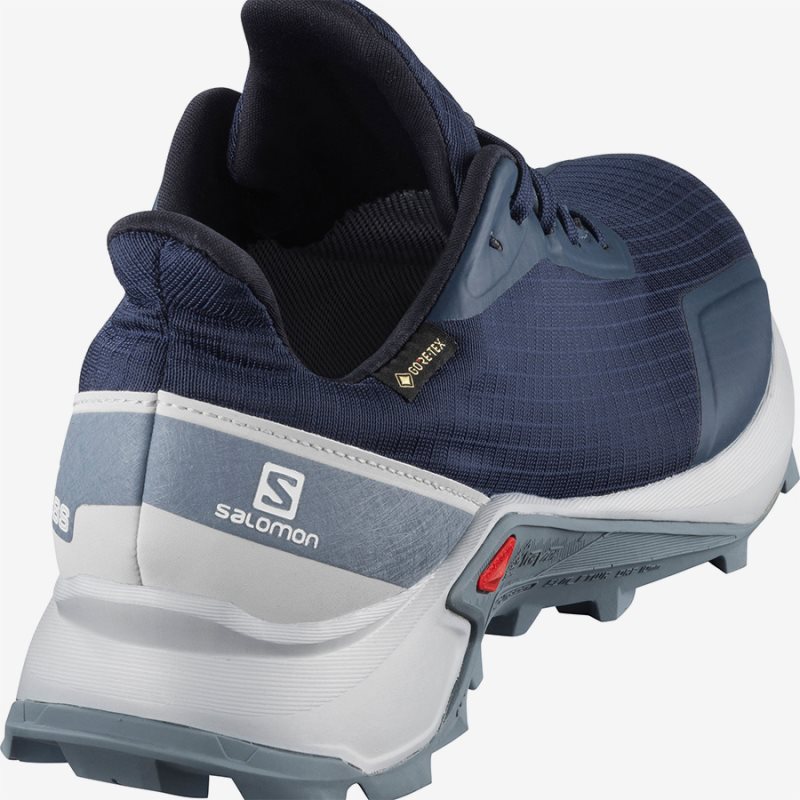 Chaussure de Randonnée Salomon ALPHACROSS GTX W Bleu Femme | JVM-8249093