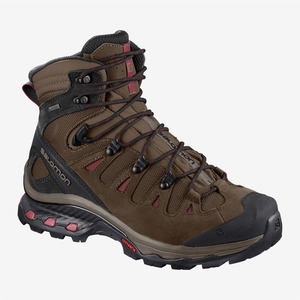 Chaussure de Randonnée Salomon QUEST 4D 3 GTX W Marron Femme | MAC-2797470