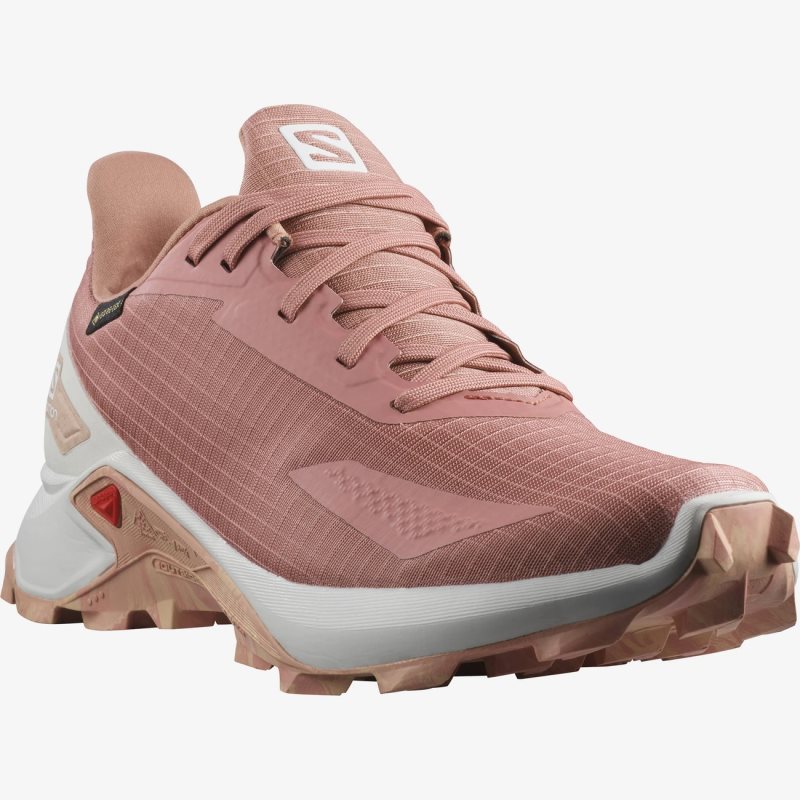 Chaussure Trail Salomon ALPHACROSS BLAST GTX W Rose Femme | VJF-8025088