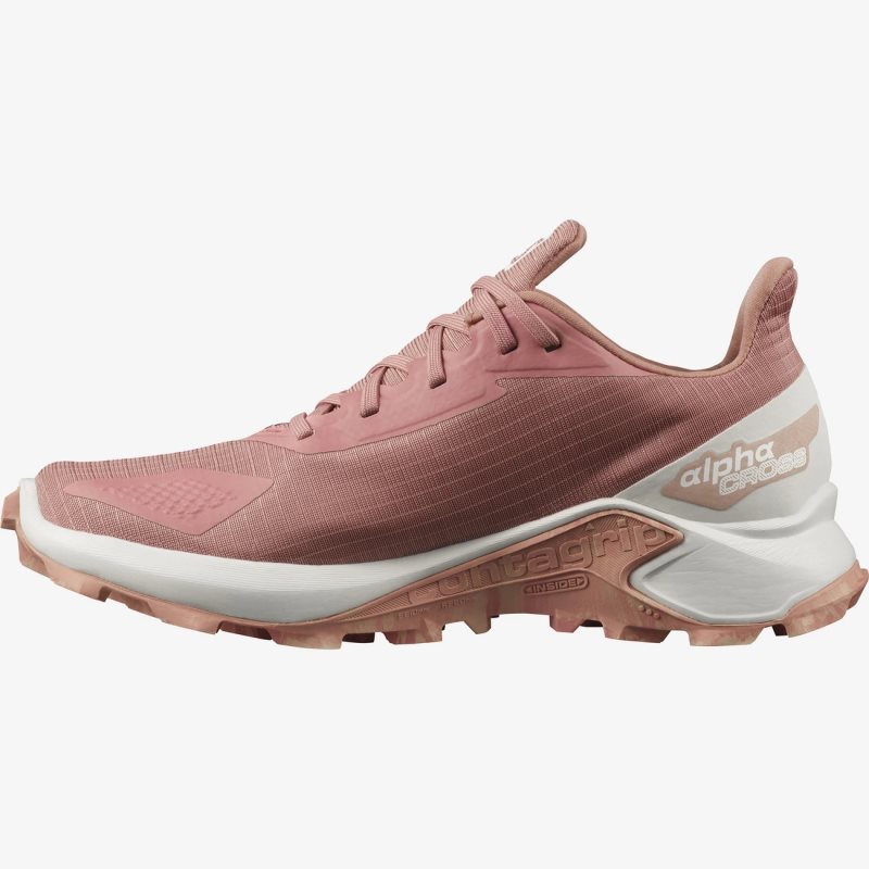 Chaussure Trail Salomon ALPHACROSS BLAST GTX W Rose Femme | VJF-8025088