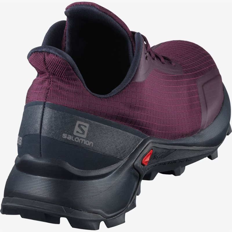 Chaussure Trail Salomon ALPHACROSS W Violette Femme | IFT-5607359