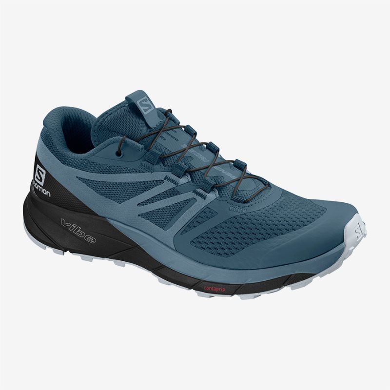 Chaussure Trail Salomon SENSE RIDE 2 W Bleu Femme | AHC-6211657