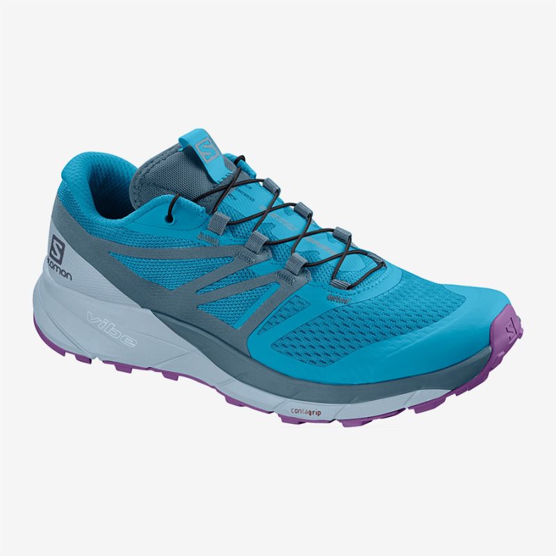 Chaussure Trail Salomon SENSE RIDE 2 W Bleu Femme | GBQ-2303270