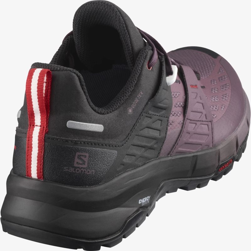 Chaussure de Randonnée Salomon ODYSSEY GTX W Noir/Rouge Femme | ALC-8770176