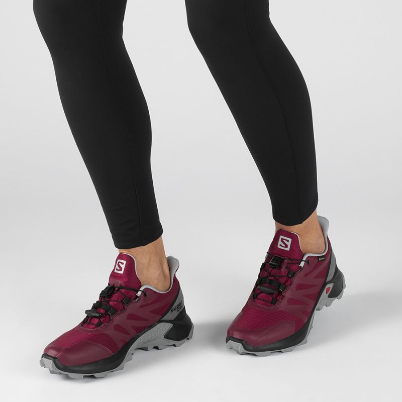 Chaussure de Randonnée Salomon SUPERCROSS GTX W Rose Femme | XVG-9512856