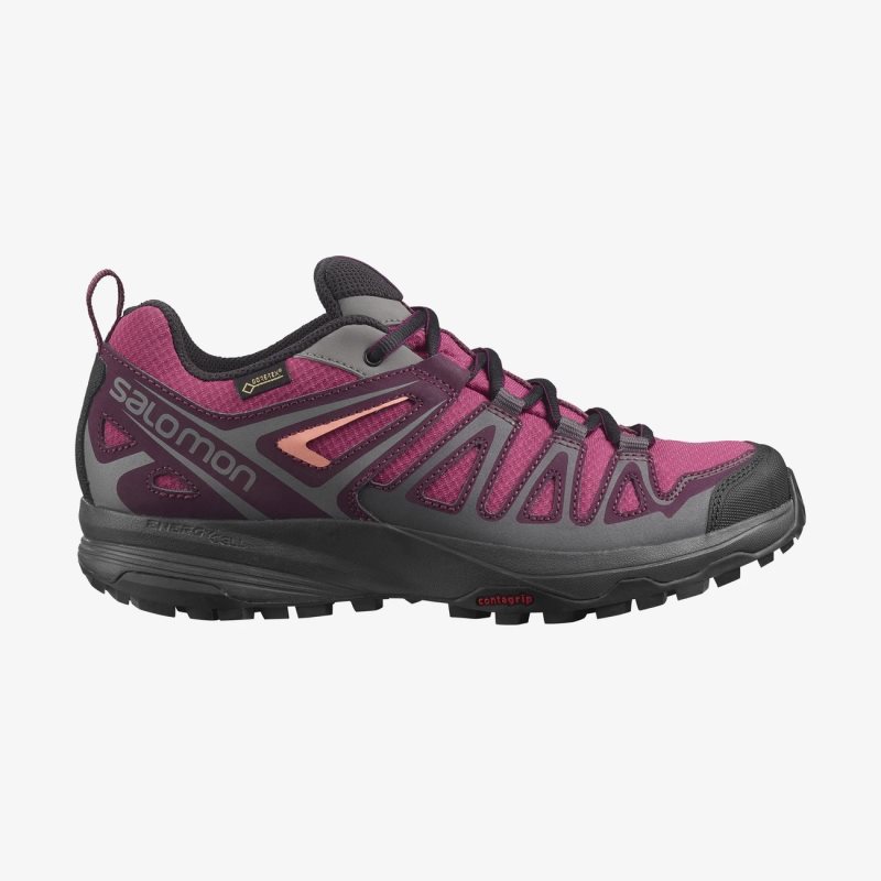 Chaussure de Randonnée Salomon X CREST GORE-TEX Rose/Noir Femme | GAI-6399711