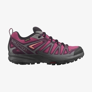 Chaussure de Randonnée Salomon X CREST GORE-TEX Rose/Noir Femme | GAI-6399711