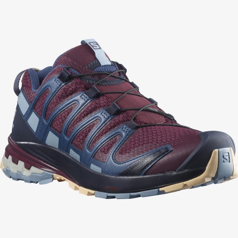 Chaussure de Randonnée Salomon XA PRO 3D v8 Rouge/Bleu Marine Femme | KBR-9903146