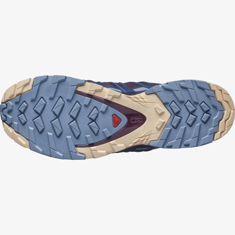 Chaussure de Randonnée Salomon XA PRO 3D v8 Rouge/Bleu Marine Femme | KBR-9903146