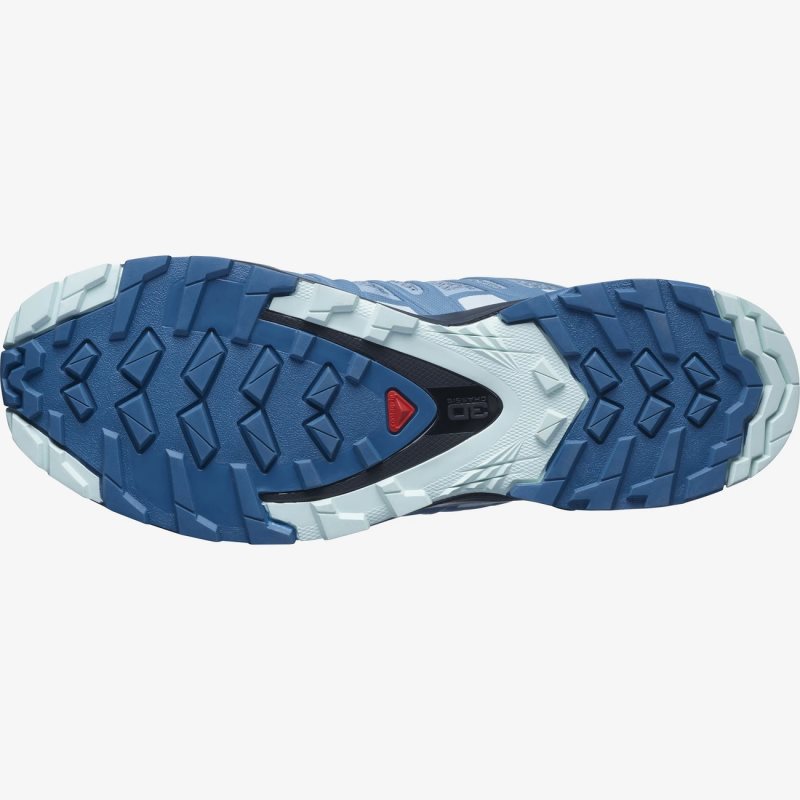 Chaussure de Randonnée Salomon XA PRO 3D v8 Bleu Femme | GEH-4872929