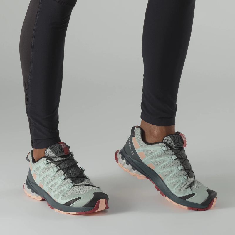 Chaussure de Randonnée Salomon XA PRO 3D v8 Vert Femme | NZV-8120920