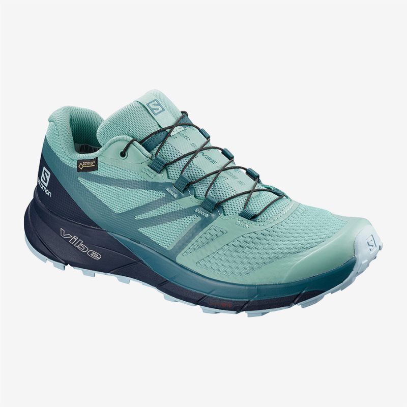 Chaussure Running Salomon SENSE RIDE 2 GTX INVIS FIT W Turquoise Femme | NRK-0486755