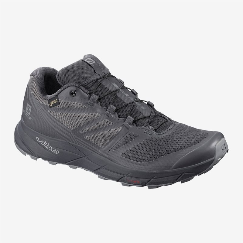 Chaussure Running Salomon SENSE RIDE GTX NOCTURNE Noir Femme | NRU-2772238