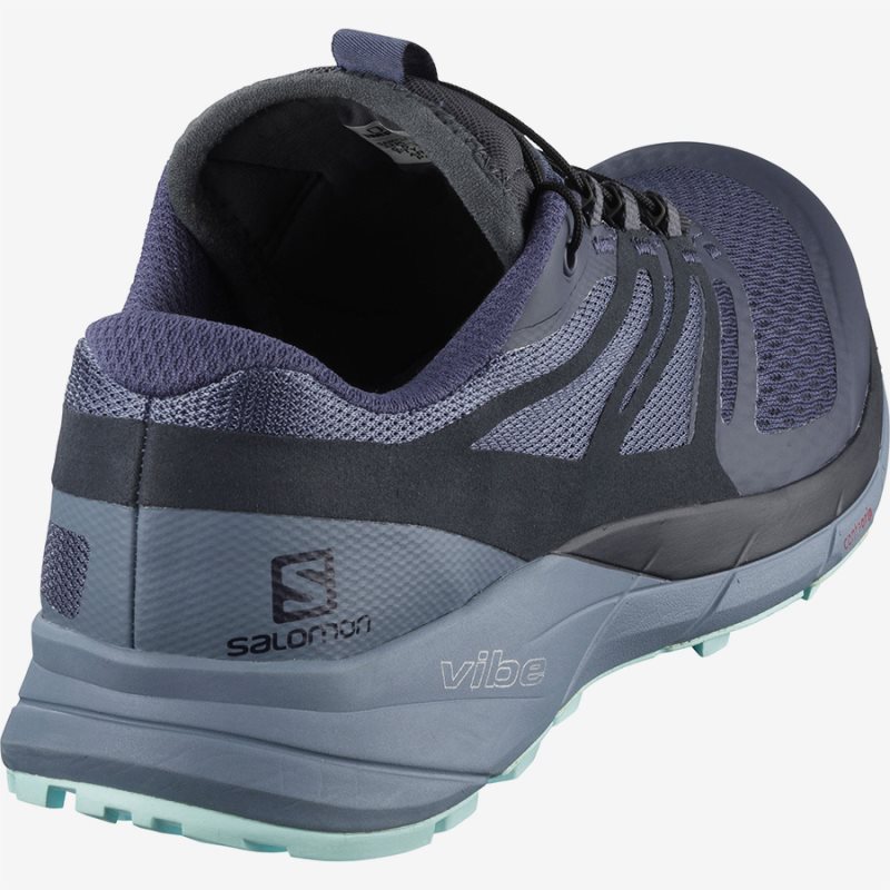 Chaussure Running Salomon SENSE RIDE 2 W Lavande Femme | UHJ-0183532