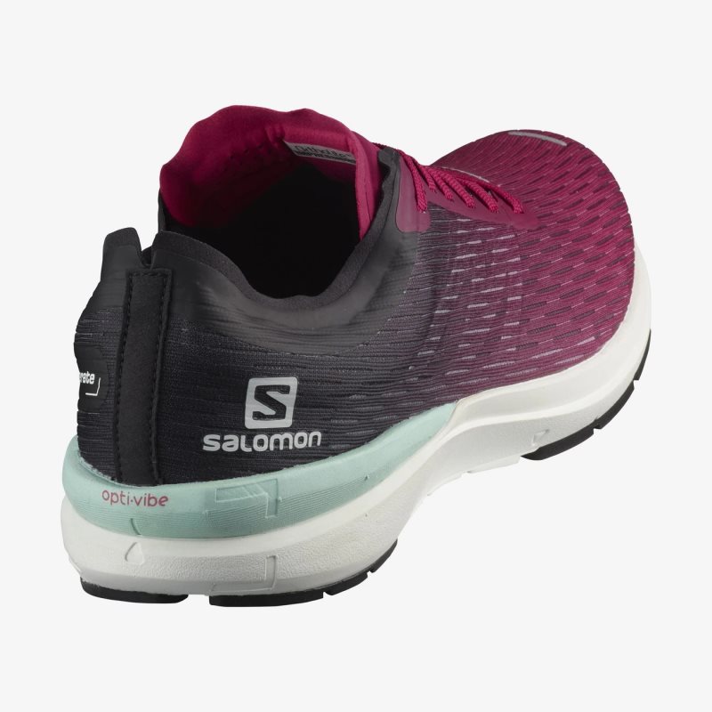 Chaussure Running Salomon SONIC 3 Accelerate W Fushia Femme | EJB-4513336