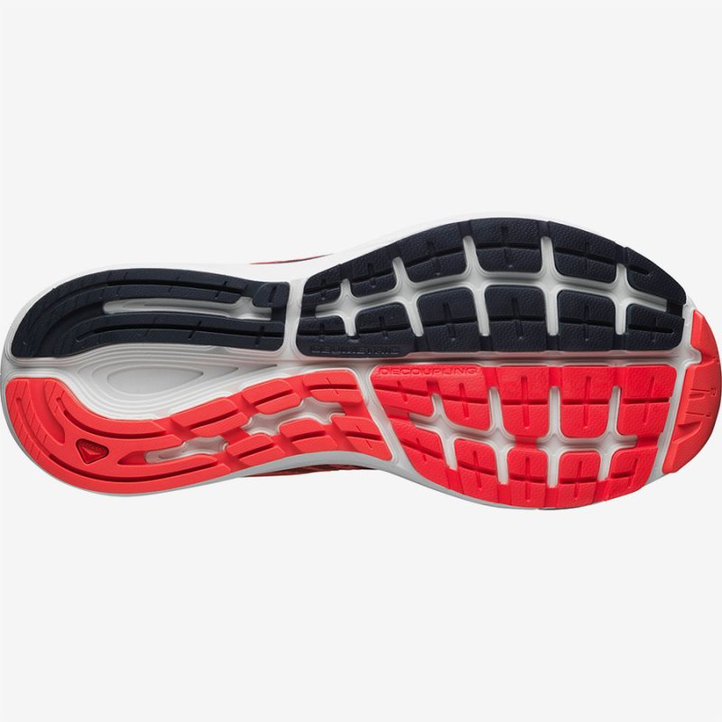 Chaussure Running Salomon SONIC RA MAX 2 W Rouge Femme | QKI-8233562