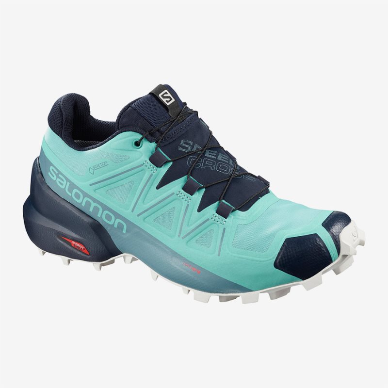 Chaussure Trail Salomon SPEEDCROSS 5 GTX W Turquoise Femme | HYO-0335376