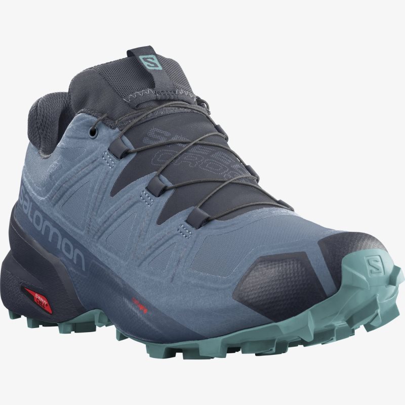 Chaussure Trail Salomon SPEEDCROSS 5 GORE-TEX Bleu Femme | RRF-0963438