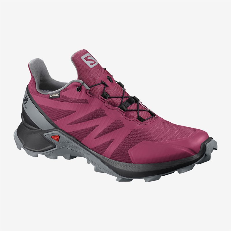 Chaussure Trail Salomon SUPERCROSS GTX W Rose Femme | BMO-1091938