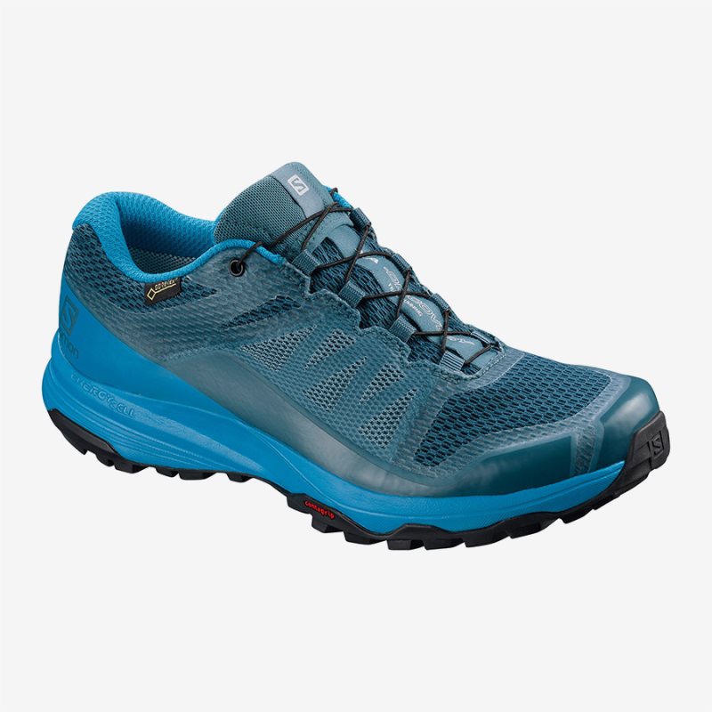 Chaussure Trail Salomon XA DISCOVERY GTX W Bleu Femme | IAR-3810383