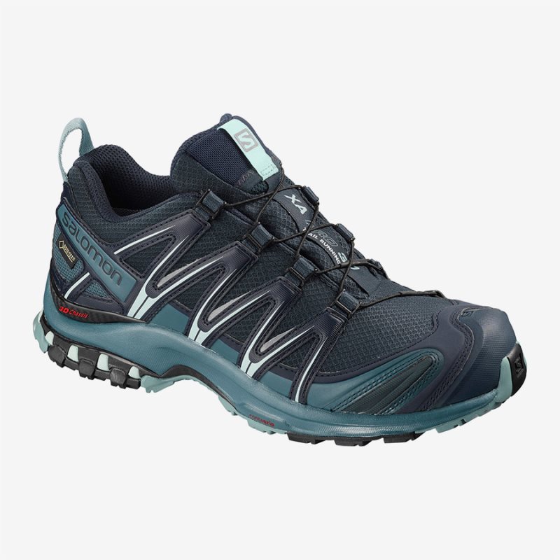 Chaussure Trail Salomon XA PRO 3D GTX W Bleu Marine Femme | HQJ-2954034