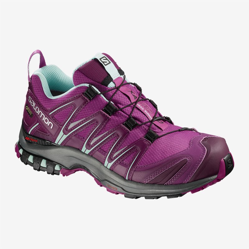 Chaussure Trail Salomon XA PRO 3D GTX W Rose Femme | DAJ-1605328