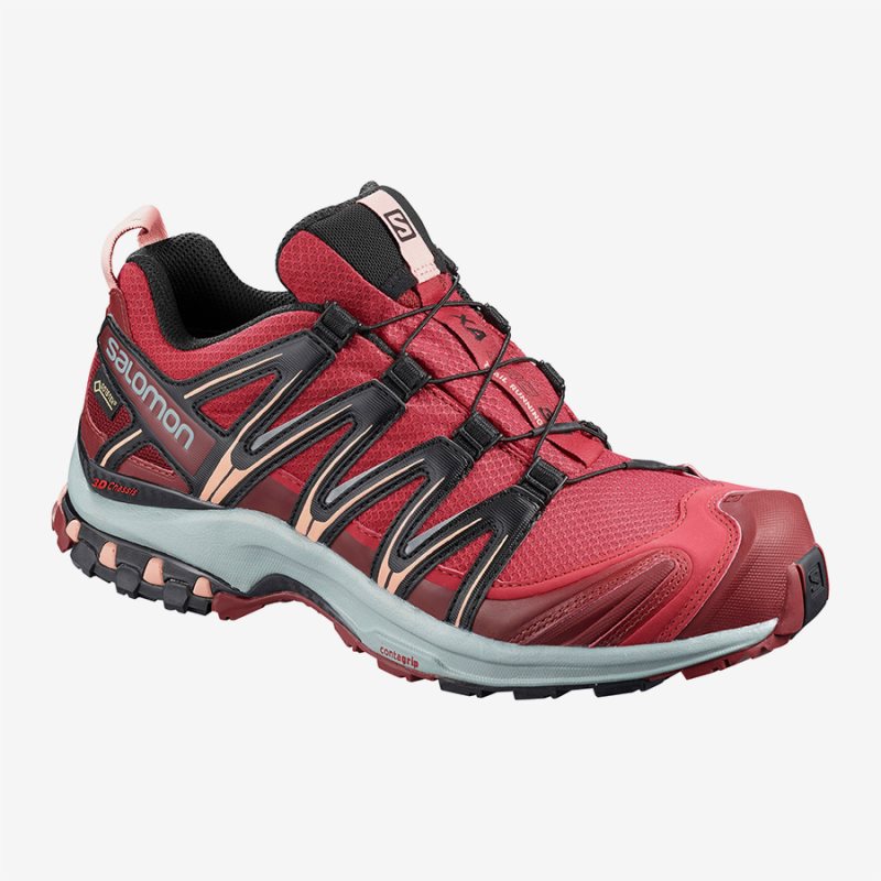 Chaussure Trail Salomon XA PRO 3D GTX W Rouge Femme | NMH-1571997