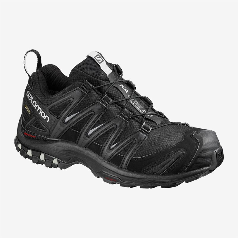 Chaussure Trail Salomon XA PRO 3D GTX W Noir Femme | LEN-1118593