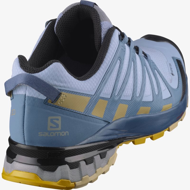 Chaussure Trail Salomon XA PRO 3D v8 GORE-TEX Bleu Femme | COV-4321214