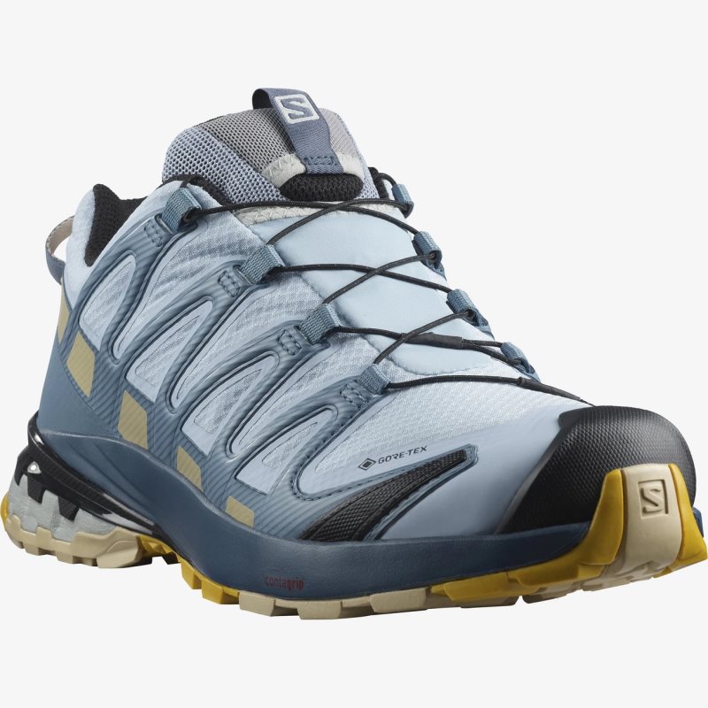 Chaussure Trail Salomon XA PRO 3D v8 GORE-TEX Bleu Femme | COV-4321214