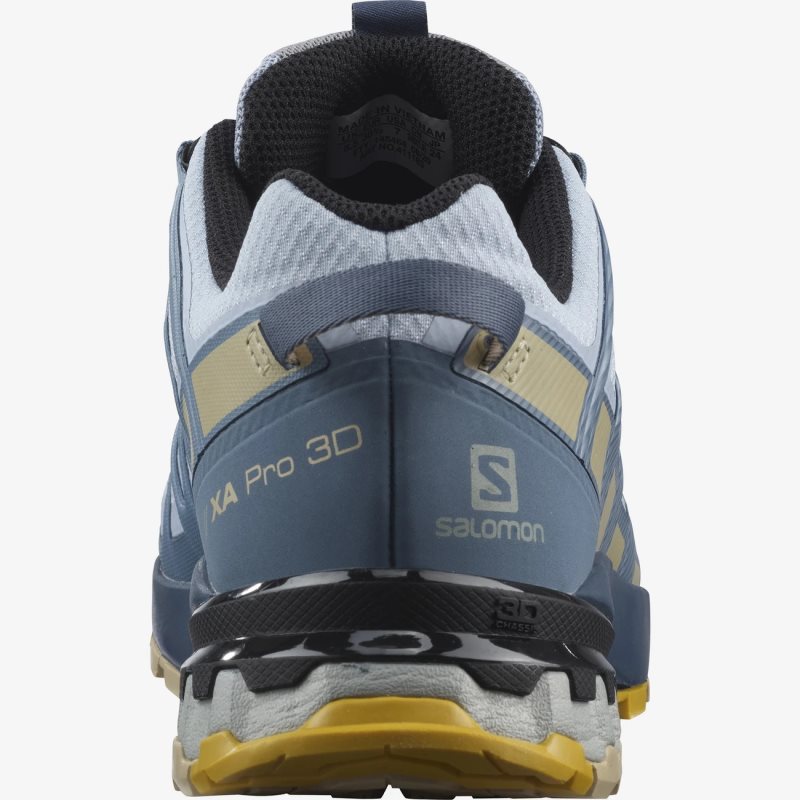 Chaussure Trail Salomon XA PRO 3D v8 GORE-TEX Bleu Femme | COV-4321214