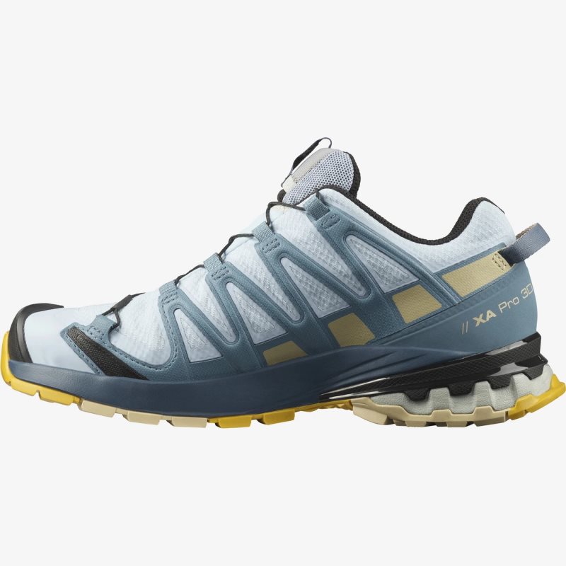 Chaussure Trail Salomon XA PRO 3D v8 GORE-TEX Bleu Femme | COV-4321214