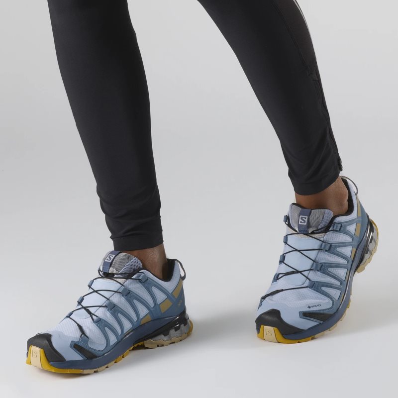 Chaussure Trail Salomon XA PRO 3D v8 GORE-TEX Bleu Femme | COV-4321214