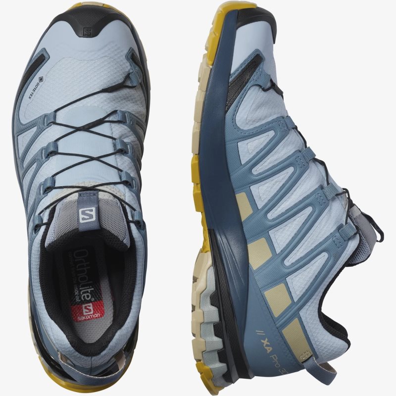 Chaussure Trail Salomon XA PRO 3D v8 GORE-TEX Bleu Femme | COV-4321214