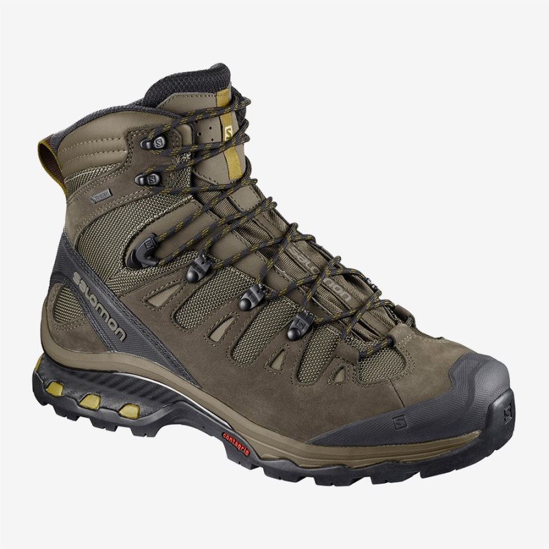 Chaussure de Randonnée Salomon QUEST 4D 3 GTX Vert Olive Homme | ISW-1423237