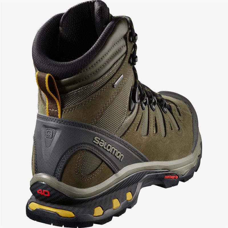 Chaussure de Randonnée Salomon QUEST 4D 3 GTX Vert Olive Homme | ISW-1423237