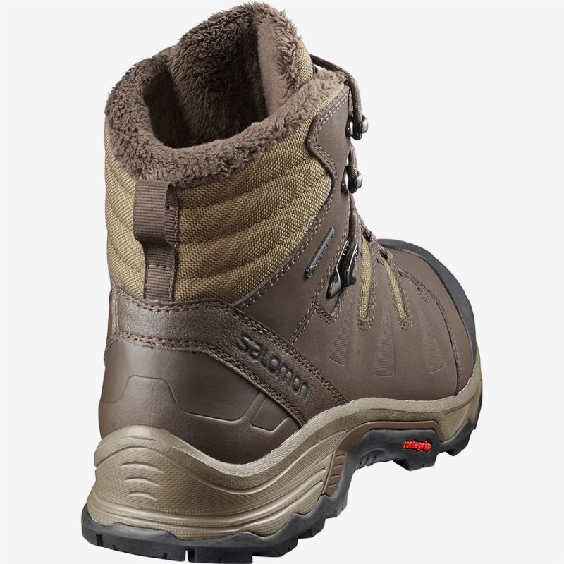 Chaussure de Randonnée Salomon QUEST WINTER GTX Chocolat Homme | FLK-1178497