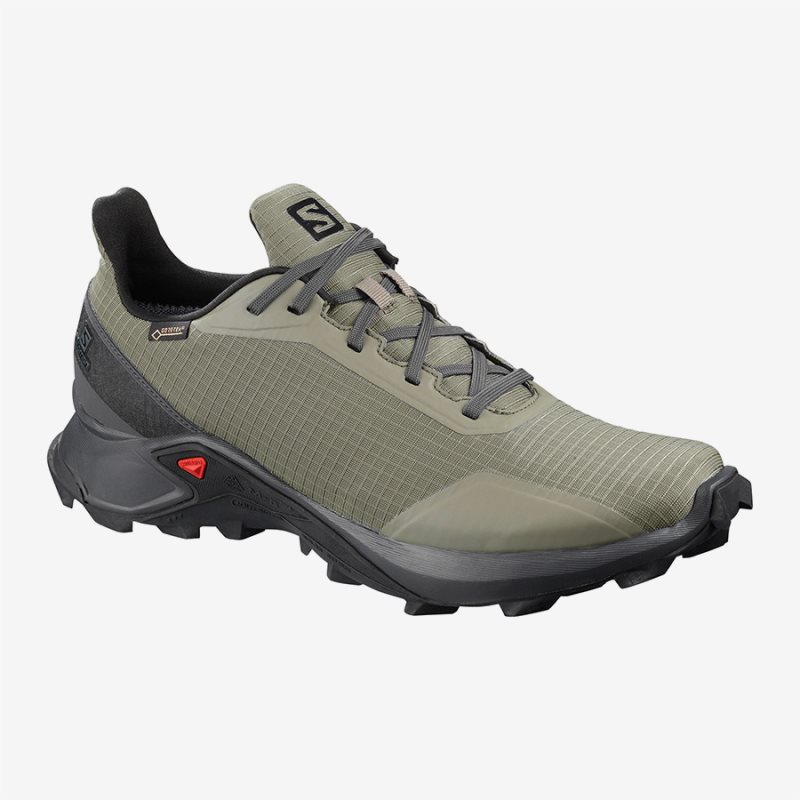 Chaussure de Randonnée Salomon ALPHACROSS GTX Vert Olive Homme | ITY-5371303