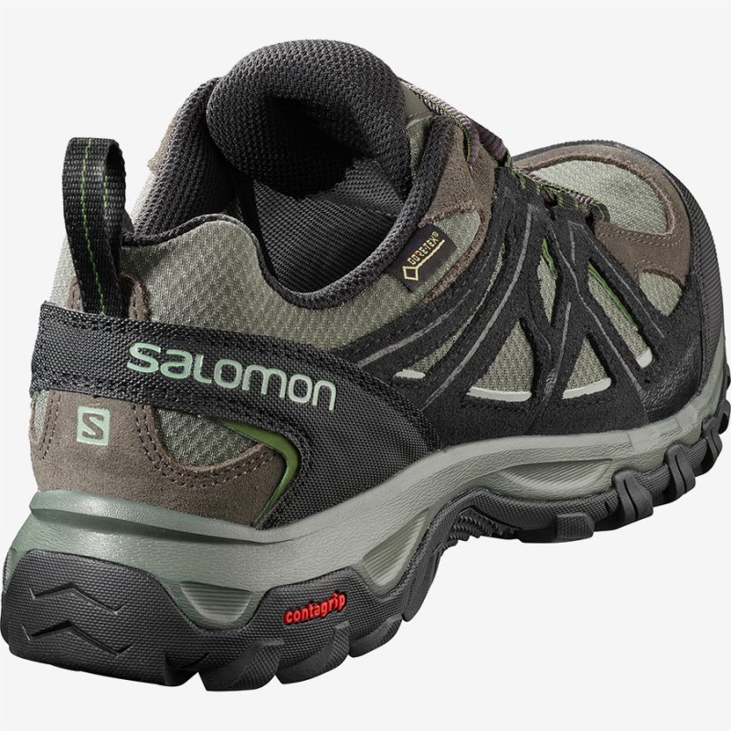 Chaussure de Randonnée Salomon EVASION 2 GTX Vert Olive Homme | CXT-6322539