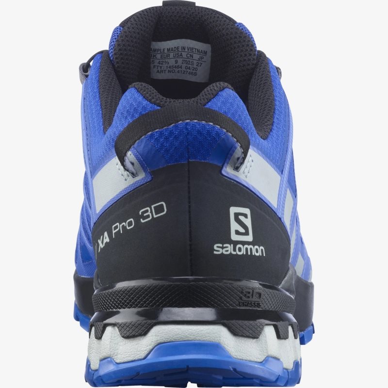 Chaussure de Randonnée Salomon XA PRO 3D v8 GORE-TEX Bleu Homme | ETD-6841767