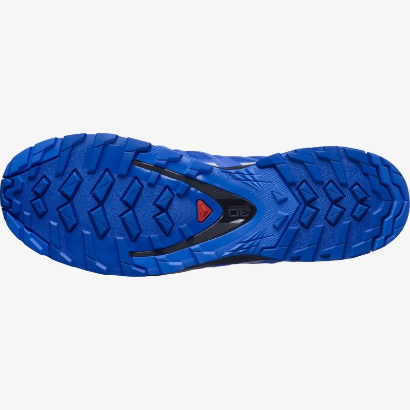 Chaussure de Randonnée Salomon XA PRO 3D v8 GORE-TEX Bleu Homme | ETD-6841767