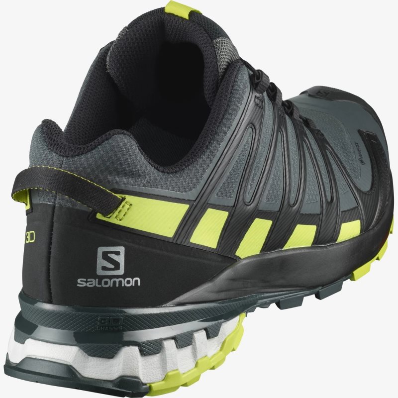 Chaussure de Randonnée Salomon XA PRO 3D v8 GORE-TEX Noir Homme | SVQ-9412625