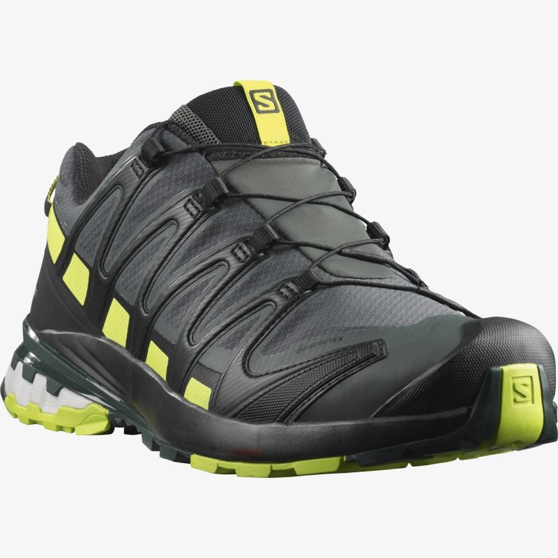 Chaussure de Randonnée Salomon XA PRO 3D v8 GORE-TEX Noir Homme | SVQ-9412625