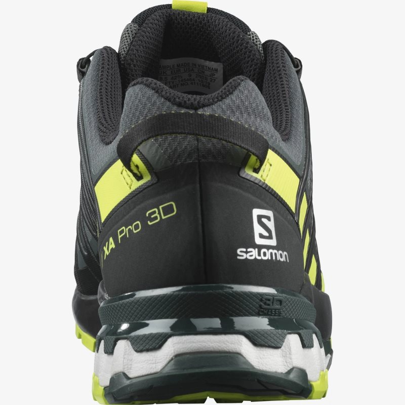 Chaussure de Randonnée Salomon XA PRO 3D v8 GORE-TEX Noir Homme | SVQ-9412625