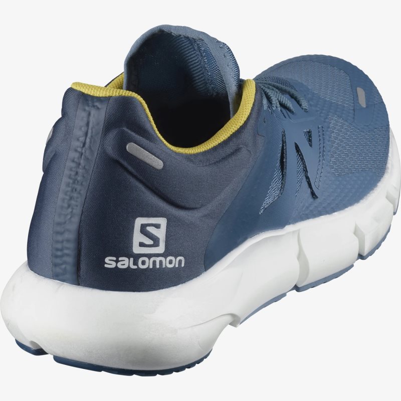 Chaussure Running Salomon PREDICT 2 Bleu Homme | DKB-4602023