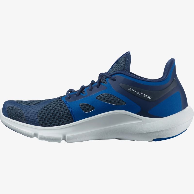 Chaussure Running Salomon PREDICT MOD Bleu Homme | YEA-1029050