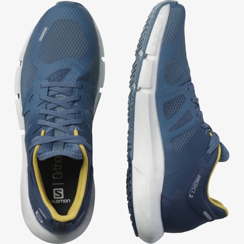 Chaussure Running Salomon PREDICT 2 Bleu Homme | DKB-4602023